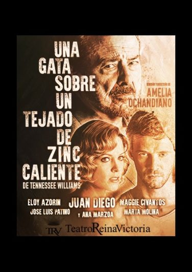 Una gata sobre un tejado de zinc caliente