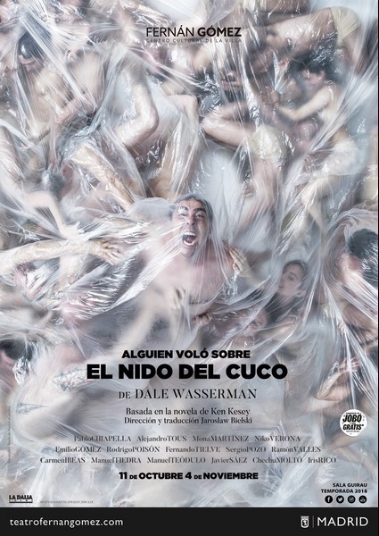 Alguien voló sobre el nido del cuco